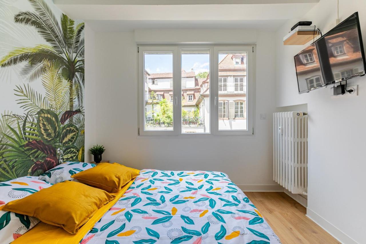 Centre / Krutneau Appartement